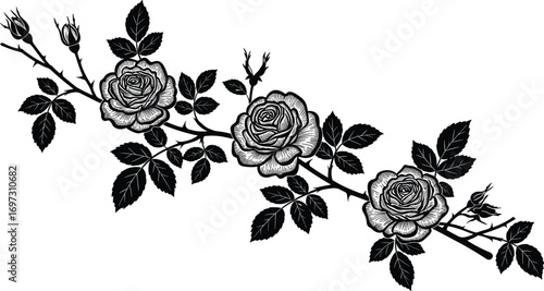 Vintage rose branch silhouette, floral engraving style design, blooming rose flowers with leaves, decorative vector for laser cutting, wall art