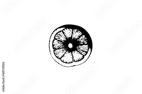 Vector Detailed of a citrus fruit slice.