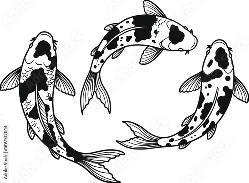 Beautiful black and white koi fish illustration, traditional Japanese carp fish drawing, aquatic nature art, peaceful swimming fish design, oriental water symbol