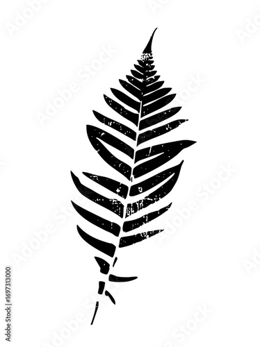 Vector Elegant fern frond showcases botanical detail.