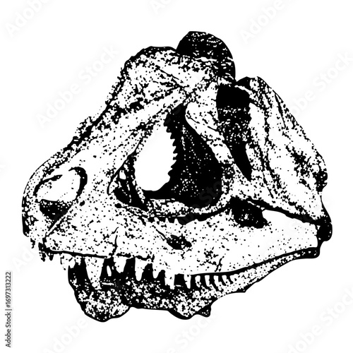 Vector Detailed dinosaur skull in monochrome style.