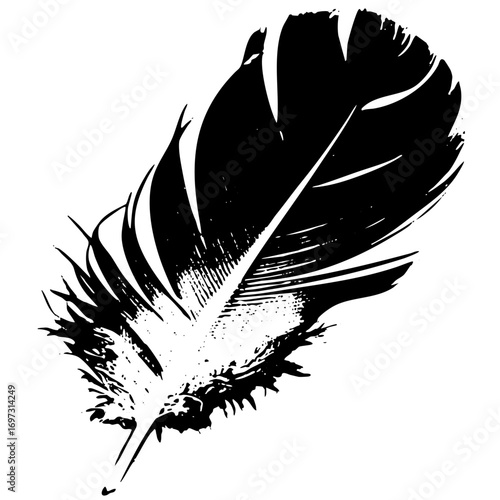 Vector Elegant black feather with detailed quill and barbs.