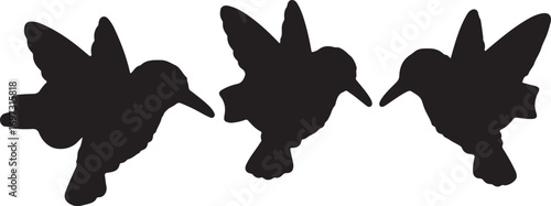 Silhouette of a flying bird with outstretched wings elegant and simple