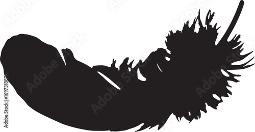 Dark silhouette of a heart shape with unique design element