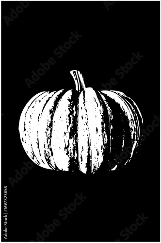 Vector Detailed white pumpkin with textured ridges.