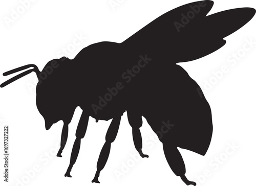 Vector illustration of mosquito silhouette against a white background