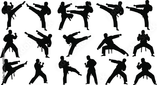 Silhouette martial arts training, karate practice, taekwondo kicks, fighting stances, self defense techniques, combat sport exercise, discipline, strength, power, focus