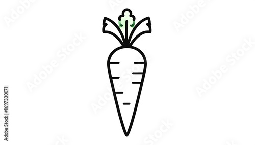Simple line drawing of a carrot