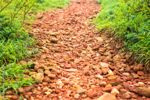 rocky path for hikers in western moutains of karnataka state in india