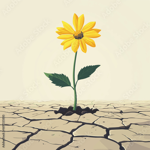 Resilient yellow flower blooming through cracked dry earth
