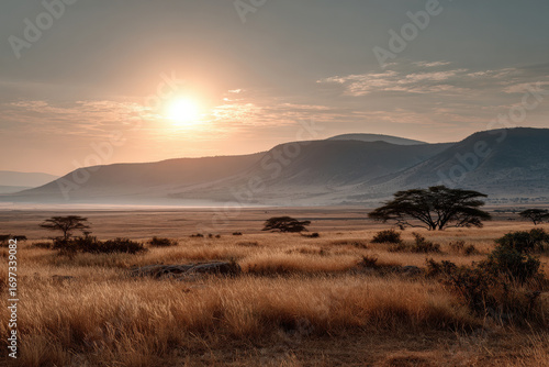 breathtaking sunset casts warm glow over endless savanna plains of tanzania where golden hues blend seamlessly with