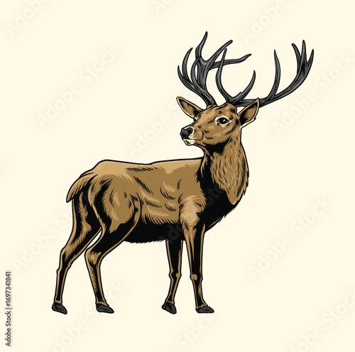 Standing deer illustration with hand drawing