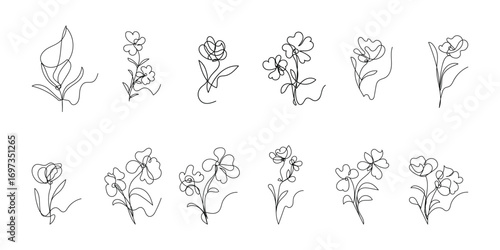 Set One line art Doodle floral border with blooming among Minimalist black linear design isolated on white background. Vector illustration

