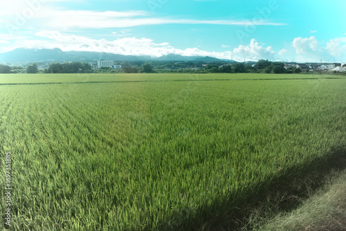 島原鉄道の車窓と田んぼと日本の原風景