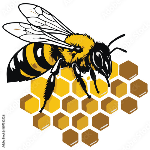 Graphic Honey Bee on Golden Honeycomb Pattern
