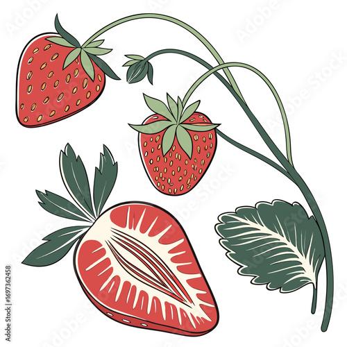 Sweet Strawberry Illustration Fresh Fruit Design