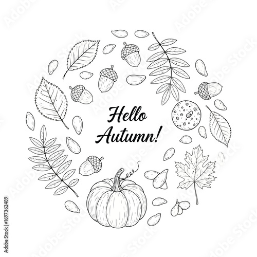 autumn hello pumpkin leaf acorn fall season nature drawing