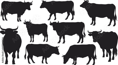 Cow Silhouettes Vector Set – Black Cattle Icons in Different Poses for Farm, Agriculture, Livestock, Ranch, and Animal Design