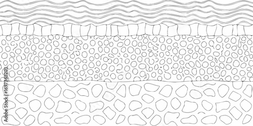 Abstract cross section of layered organic material with wavy top and granular and irregular shapes below