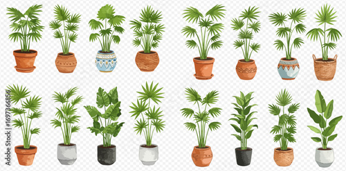 A watercolor illustration set of various tropical houseplants and palms in decorative flowerpots.