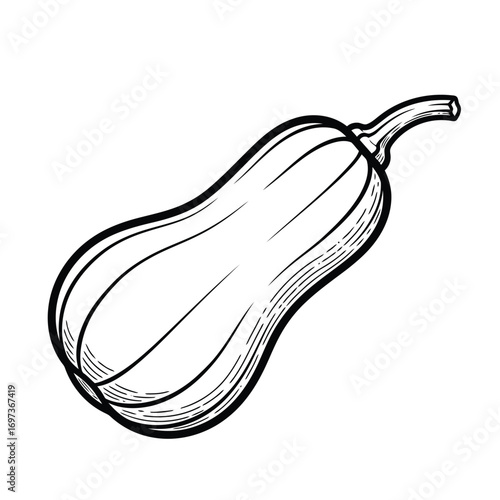 A black and white line drawing of a butternut squash with a curved stem.