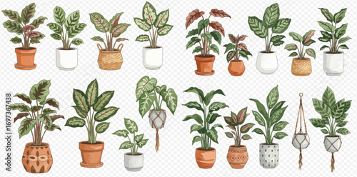 A beautiful watercolor collection of various indoor houseplants in decorative pots, planters, and macrame hangers.