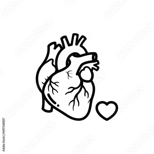 A minimalist black line art icon showing an anatomical human heart next to a small love symbol.