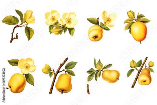 Watercolor painting of lemon branches with yellow fruit and green leaves
