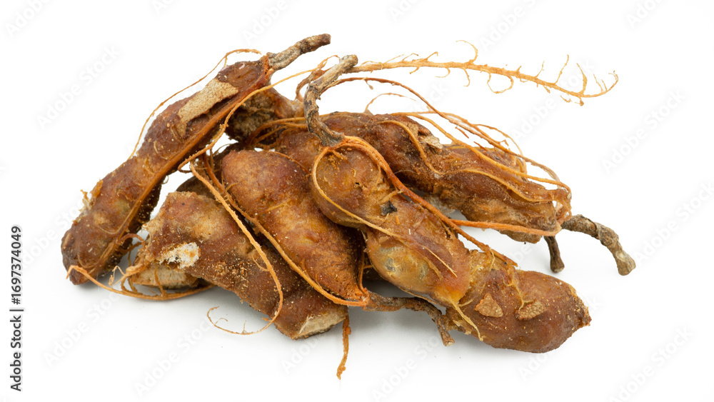 Fototapeta premium Fresh tamarind