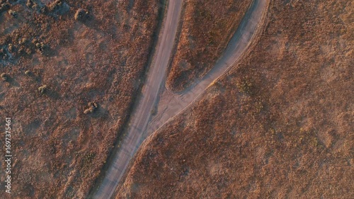 Aerial view of a road splitting into two paths in a dry, grassy landscape. The image captures the concept of choices and journeys in Carrizo Plain National Monument,  California, USA.