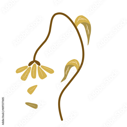 Fotografía Wilted Flower from Global Warming