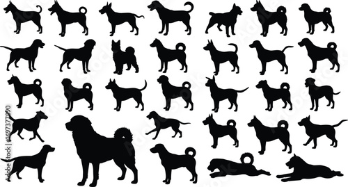 Collection of various dog breed silhouettes in black, showcasing diverse shapes, sizes, and postures for pet, animal, and breed identification designs