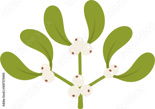 Simple Flat Mistletoe Berry Branch Decorative Graphic Element Illustration