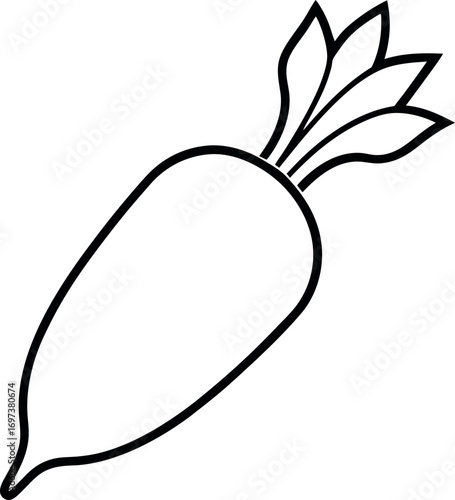 Hand Drawn Daikon Radish Vegetable Line Art Illustration