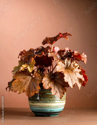 A vibrant autumnal plant, with terracotta-hued leaves, sits artfully in a round, textured ceramic pot against a muted blush background.
