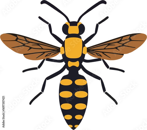 Macro shot of a vivid yellow and black wasp looking upward. Perfect for insect identification guides or educational materials on entomology.