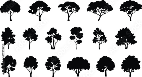 Collection of black tree silhouettes, various tree shapes, nature vector icons, forest tree outlines, botanical illustration set, diverse tree types, landscape design elements,