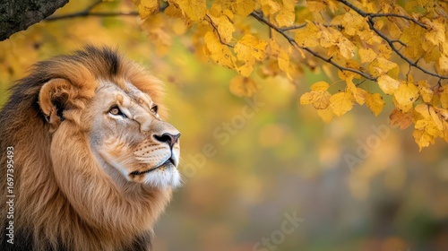 Majestic lion portrait with golden autumn foliage background captu strength and serenity in wildlife nature setting