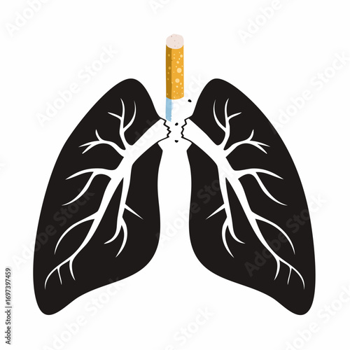 Vector silhouette of lungs in black and white, with a broken cigarette symbolizing smoking damage and prohibition