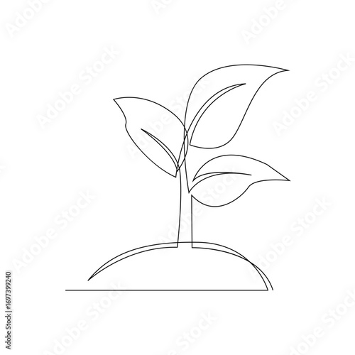 Continuous Line Drawing of Plant Seedling