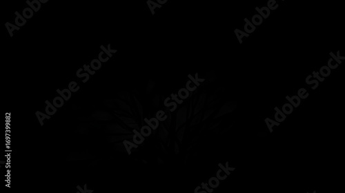 Silhouette of a bare tree against a dark background, showcasing its intricate branch structure and texture, symbolizing dormancy and resilience.