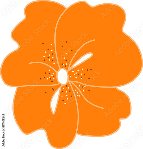 flower, blossom, bloom, nature, orange, spring, summer, delicate, garden, botanical, flora, bright, cheerful, natural, petal, soft, organic, decorative, design, illustration, vibrant, colorful, trendy
