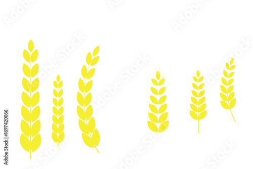 Wheat icons set. Grain, spikelet and wreath. Organic wheat, bread agriculture and natural eat, rice isolated on white background. Wheat ears icon set. Wheat logo. Grain spikes set icons. Grain icon. 