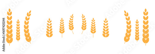 Agriculture wheat icon set, Organic wheat, bread agriculture and natural eat, rice isolated on white background, vector illustration. Grain, bread, nutrition, natural product, and eco-friendly design.