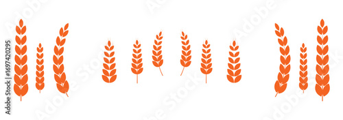 Agriculture wheat icon set, Organic wheat, bread agriculture and natural eat, rice isolated on white background, vector illustration. Grain, bread, nutrition, natural product, and eco-friendly design.
