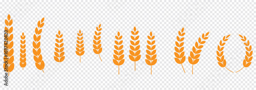 Agriculture wheat icon set, Organic wheat, bread agriculture and natural eat, rice isolated on white background, vector illustration. Grain, bread, nutrition, natural product, and eco-friendly design.