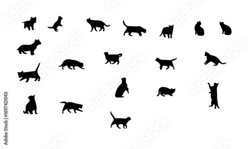 wild animals silhouettes