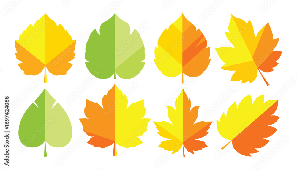 Naklejka premium Autumn Leaves Set Vector Illustration in Green, Yellow and Orange Colors.