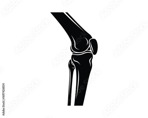 Black Silhouette of Human Knee Joint Anatomy Vector Illustration