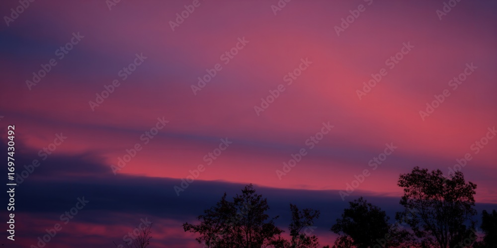 Fototapeta premium The sky is ablaze with a gorgeous pink sunset, casting shadows over a tree line.